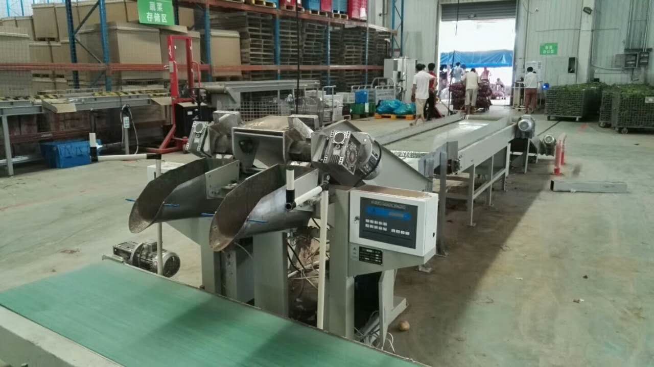 Onion / Garic Automatic Potato Bagger Plastic Bag Weighing And Filling